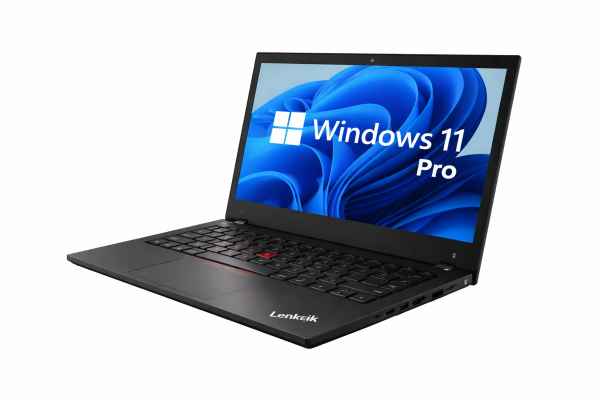 Lenovo ThinkPad E485